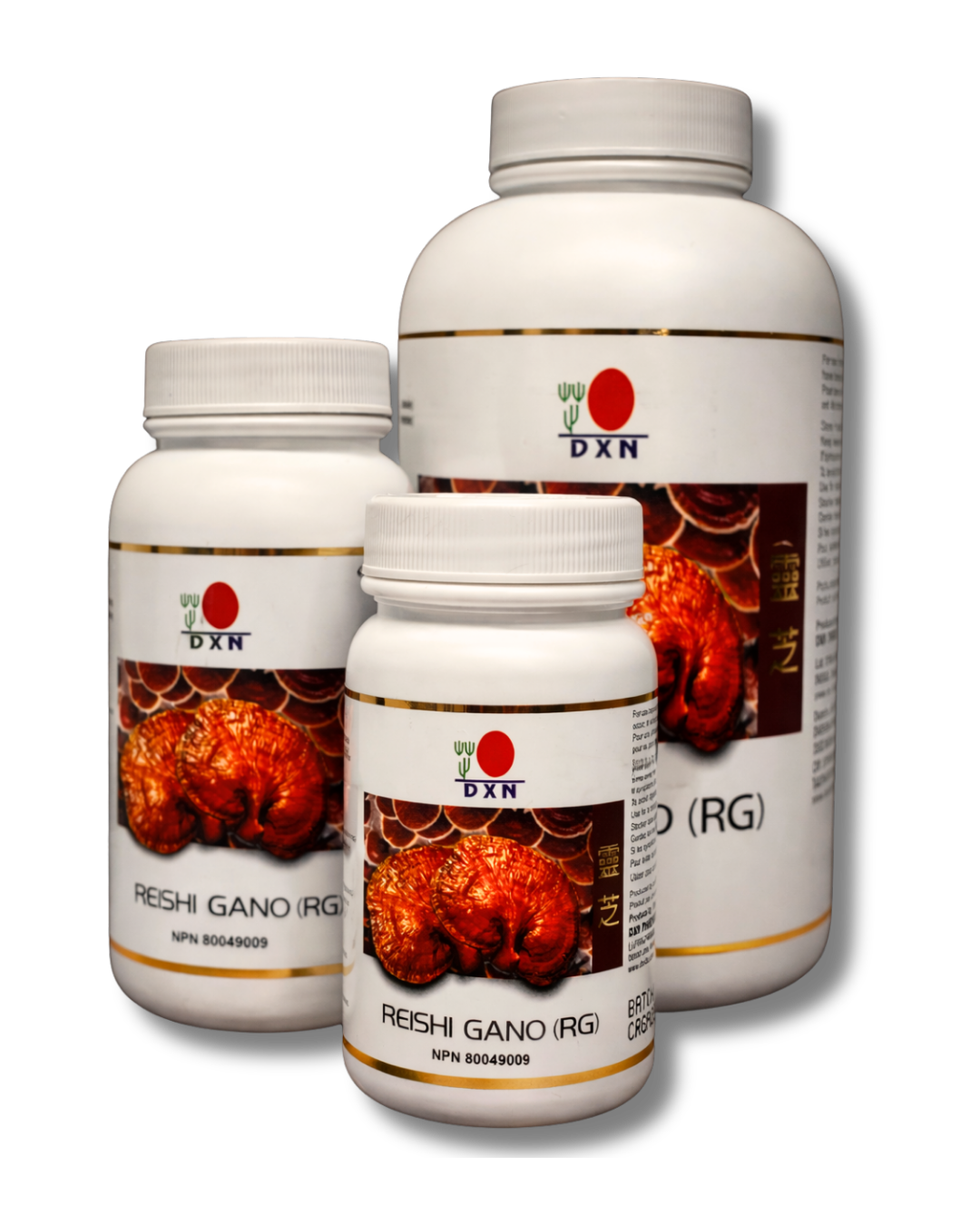 DXN Reishi Gano RG-30
